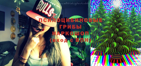 прущая мука Алзамай